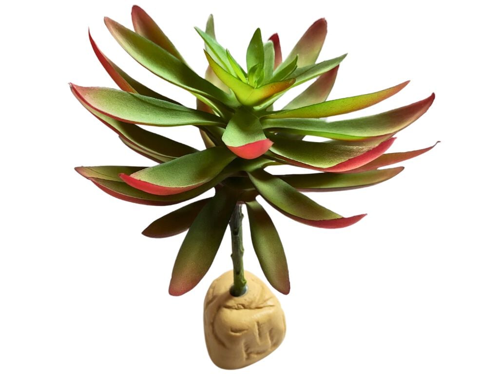 Reptilhábitat Planta Capitella De Decoración Para Terrarios