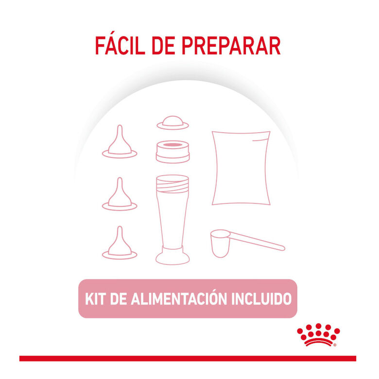 Royal Canin Leche para gatitos primer año thumbnail