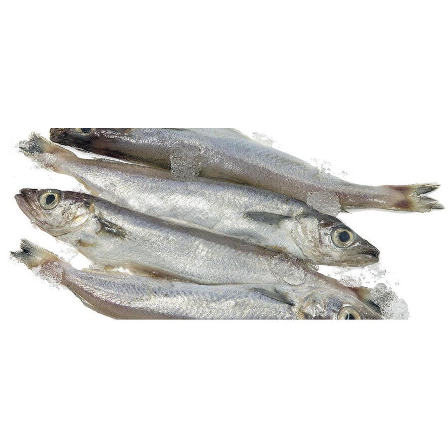 Hobbitalf La Pescadería Lirios para perros thumbnail