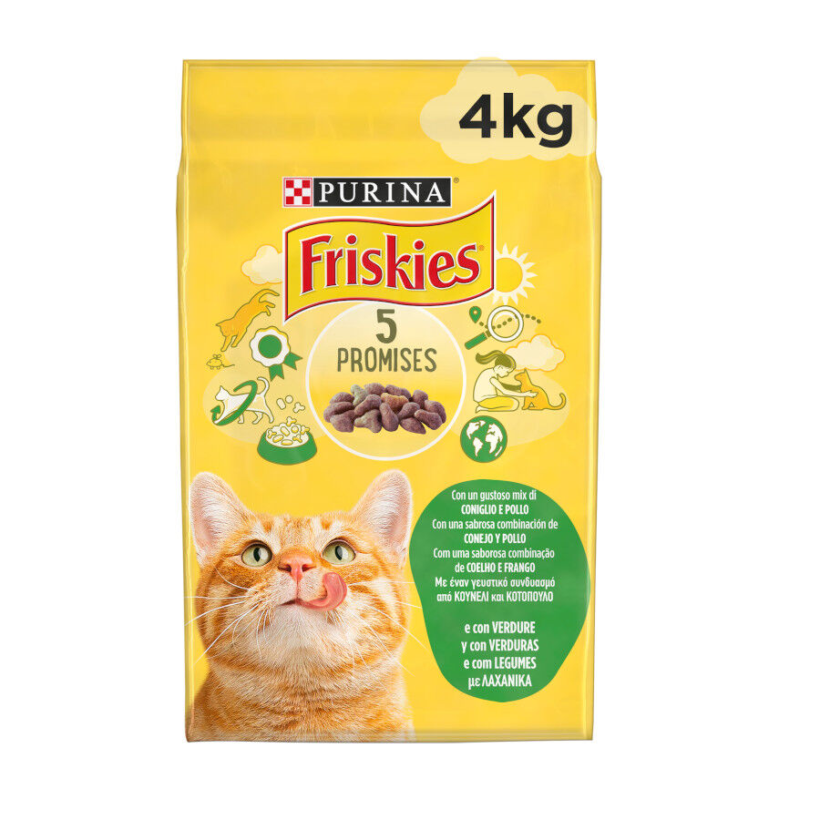 Friskies Conejo y Pollo pienso para gatos