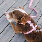Arnés de nylon para perros color Rosa Claro, , large image number null