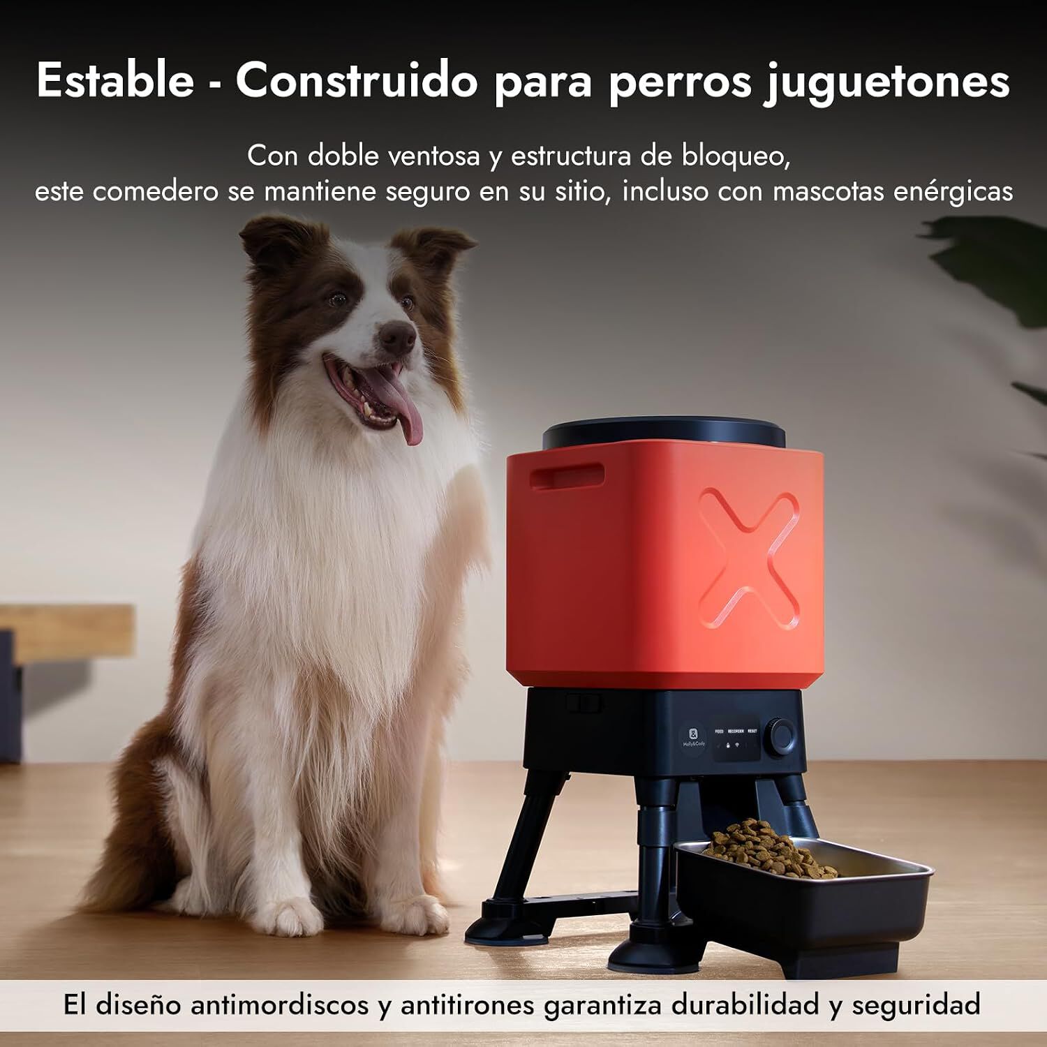 Molly&Cody Comedero Autom&aacute;tico Wifi para Mascotas, 14 litros, , large Imagen numero 3