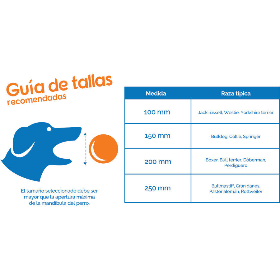 Coachi Boomer Ball pelota gigante para perros, , large Imagen numero 4