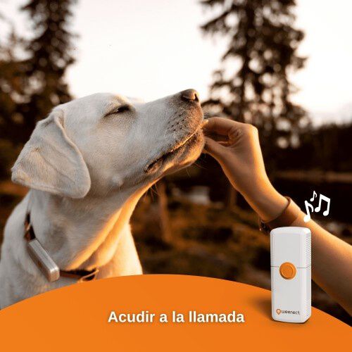 Localizador Weenect GPS Dogs&sup2; para perros, , large Imagen numero 3