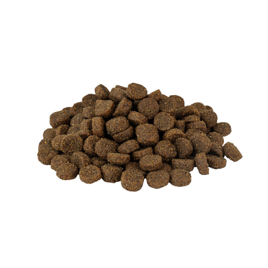 Weego Grain Free Mini Adult Classic Pollo pienso para perros, , large Imagen numero 2