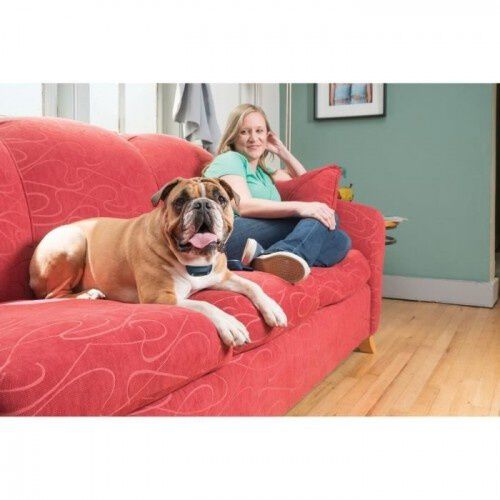 Petsafe sistema de adiestramiento apoyo educativo para perros, , large Imagen numero 6