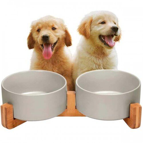 Edipets comedero doble de porcelana gris para mascotas, , large Imagen numero 1
