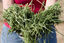 Cubos de alfalfa Linasson 20kg - Pack 50 Unidades, , large indicador imagen numero 3