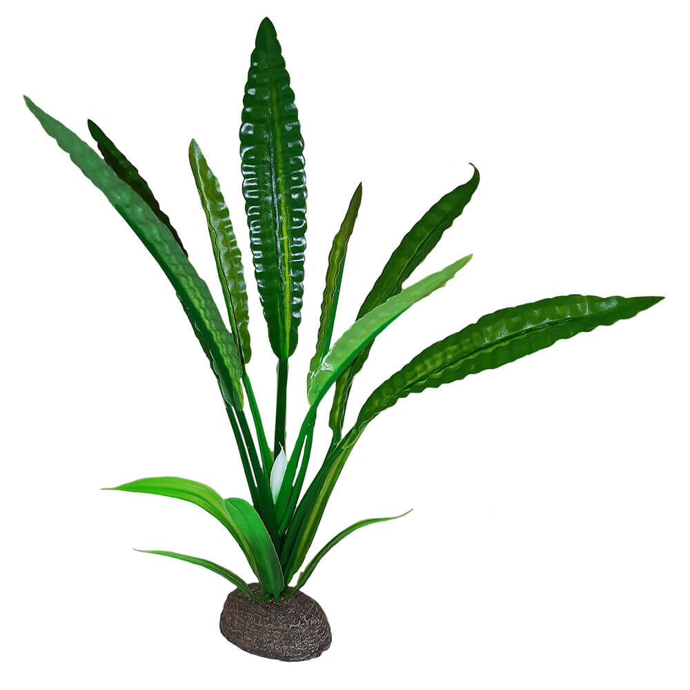 Fluval Betta Planta Red Lizard Plant 15cm, , large Imagen numero 1