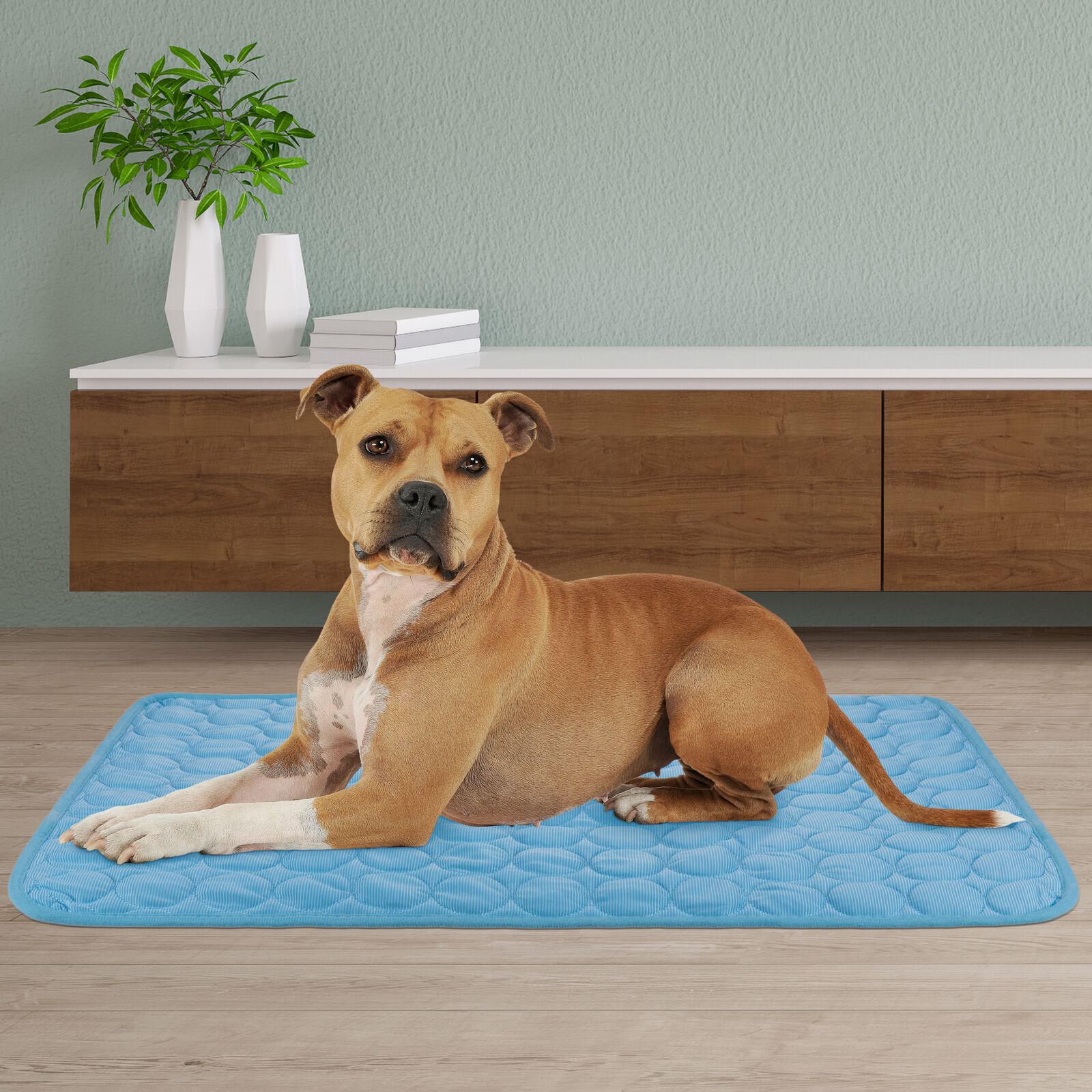 PrimeMatik Cama Refrigerante Para perro thumbnail