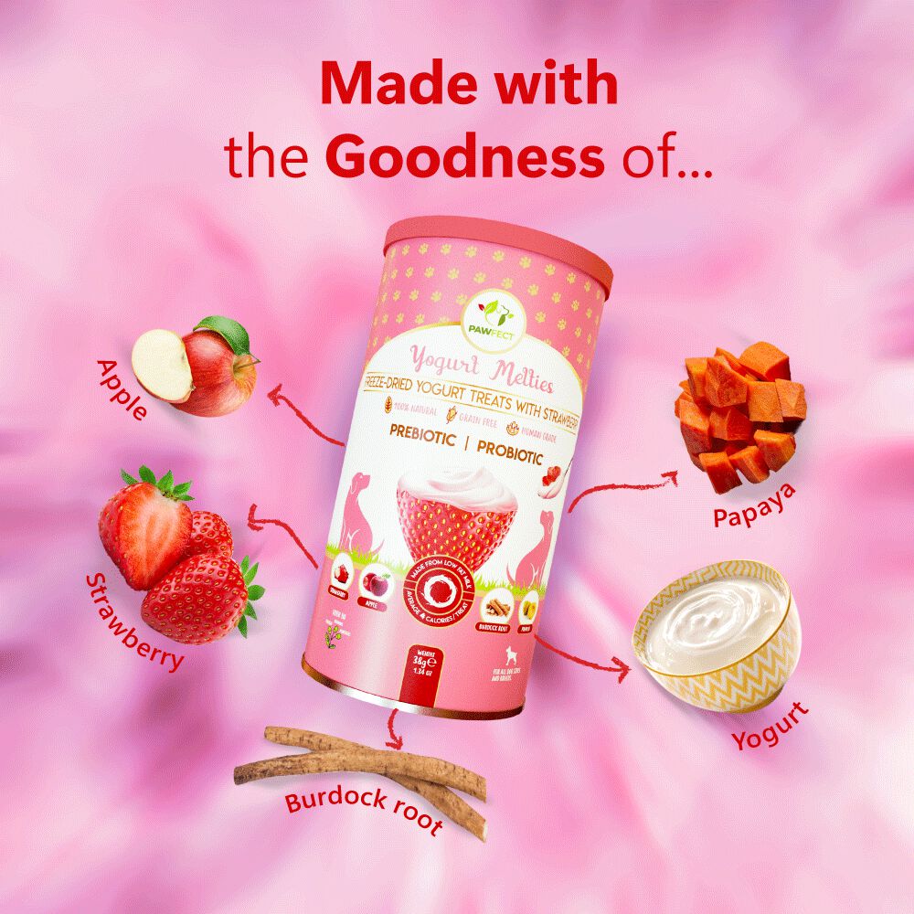 Golosinas prebi&oacute;ticas y probi&oacute;ticas para perros: fresa y yogur (38 g/1,34 oz), , large Imagen numero 4