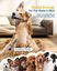 Oneisall - Cortapelos para perros - Recortador de animales - Cortapelos - Inal&aacute;mbrico - Recargable, , large indicador imagen numero 2