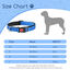 Nobleza - 2× Collar Perro, Collar Nylon Reflectante Suave Acolchado para Perros, Ajustable Collar Perro Pequeño con Cerradura de Seguridad, Collares de Entrenamiento para Perros (S, Azul), , large indicador imagen numero 2