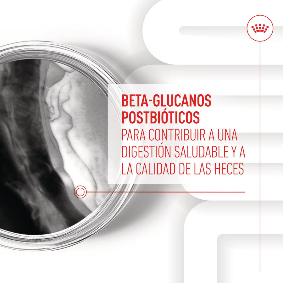 100 g Royal Canin Immunity & Digestion Chews Puppy Suplemento nutricional para perros, , large Imagen numero 5