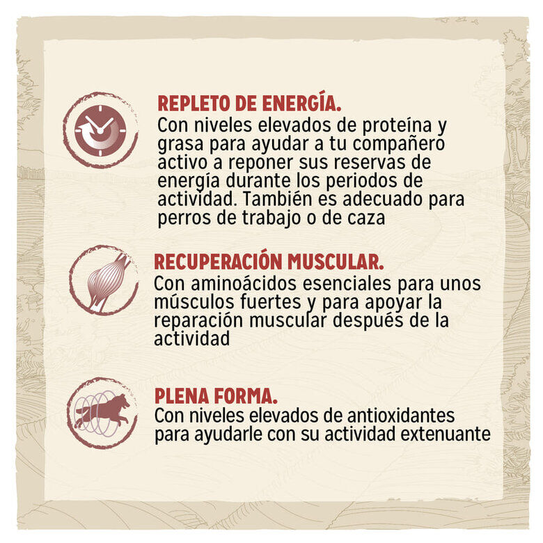 14 kg Dog Chow Active Pollo pienso para perros, , large Imagen numero 2