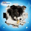 60 barritas Dentalife Snacks Dentales para perros de raza pequeña ¡Pack ahorro!, , large indicador imagen numero 7