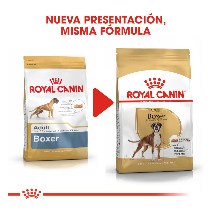 Royal Canin Adult Boxer pienso para perros thumbnail