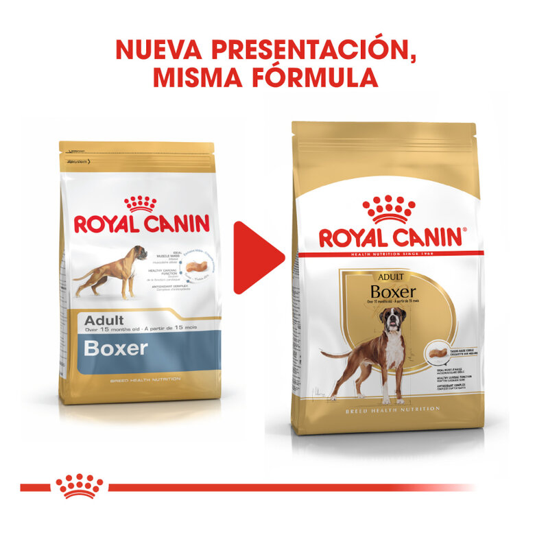 Royal Canin Adult Boxer pienso para perros, , large image number null