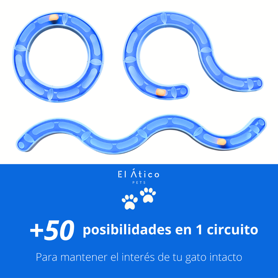 Serpiente para Gatos. Circuito Gatos Interactivo. Juguetes para Gatos. Juguetes Interactivos para Gatos. Cat Toys. Pelota para Gatos. Rueda Giratoria para Gatos, , large Imagen numero 2