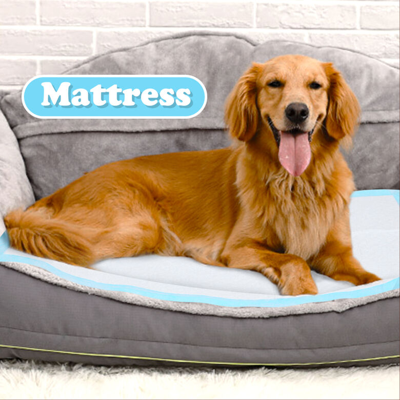 Nobleza 100 Empapadores higiénicos con Cinta Adhesiva Ultraabsorbente para perros thumbnail