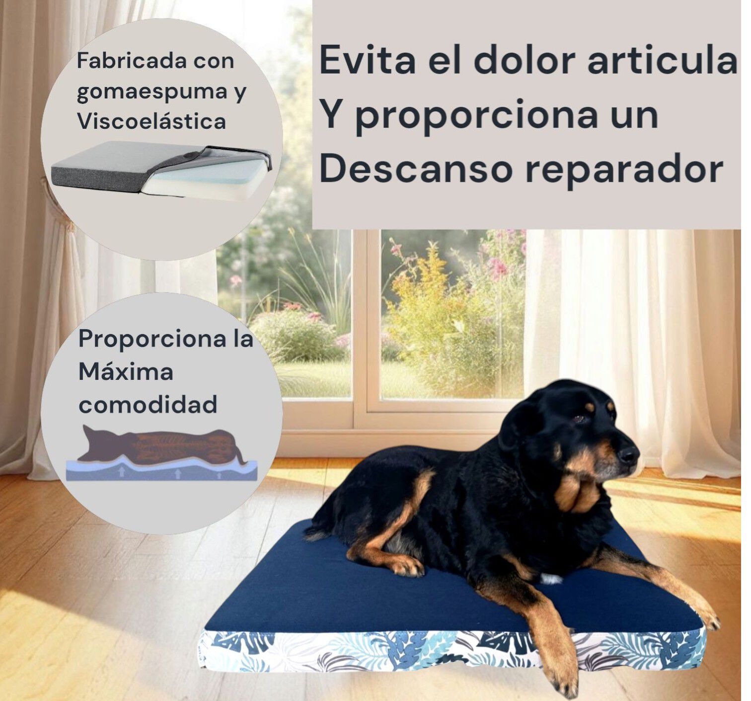 CAMA LULU AZUL Talla L, , large Imagen numero 2