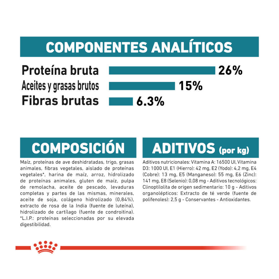 Royal Canin Joint Care Maxi pienso para perros thumbnail