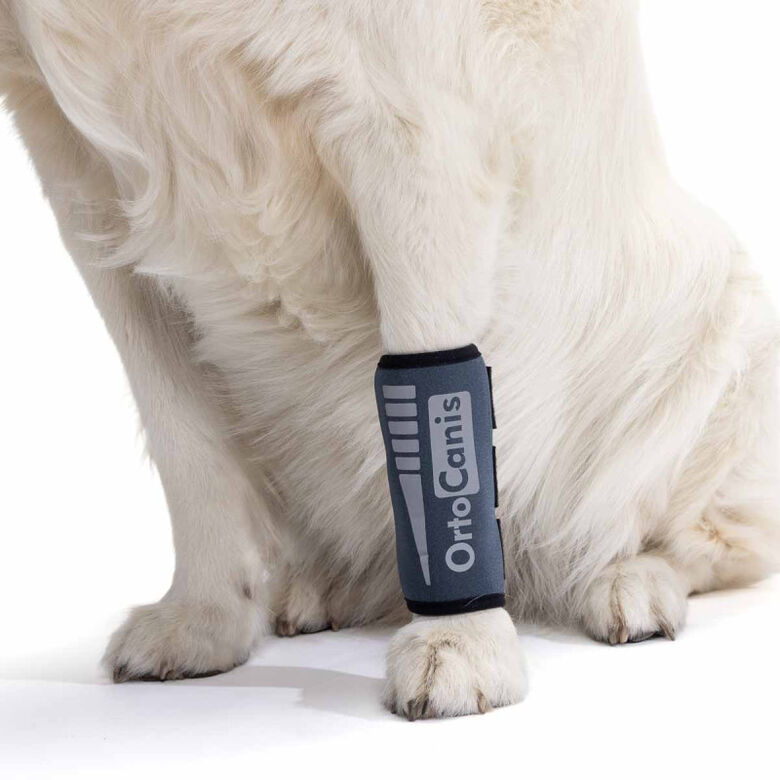 Ortocanis Muñequera Para Perros Con Artrosis thumbnail