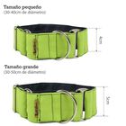 Collar Martingale para perros color Pistacho, , large image number null