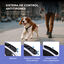 Correa Extensible 3-en-1 con Luz LED Recargable y Antitirón | TheKingPet – 5 m para Perros hasta 30 kg, , large indicador imagen numero 4