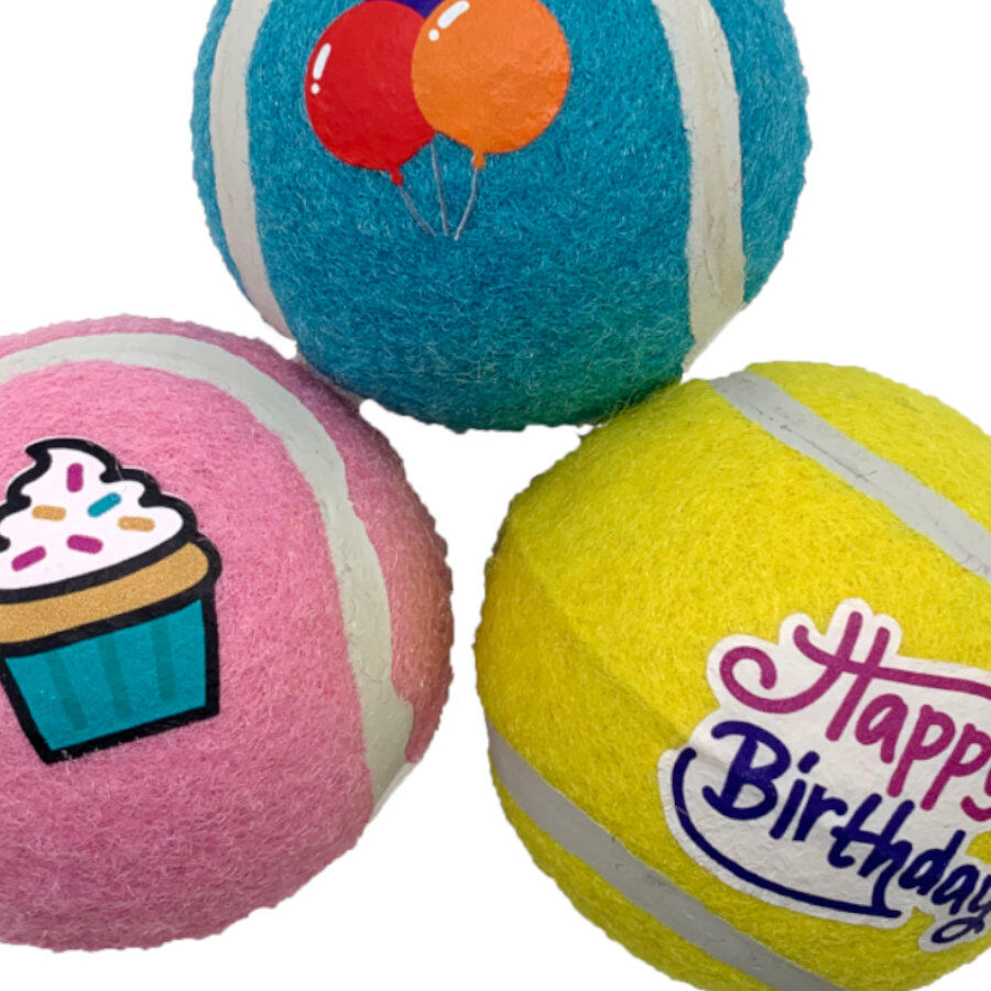 Tootoy! Comfort Happy Birthday Pack de pelotas para perro, , large Imagen numero 3