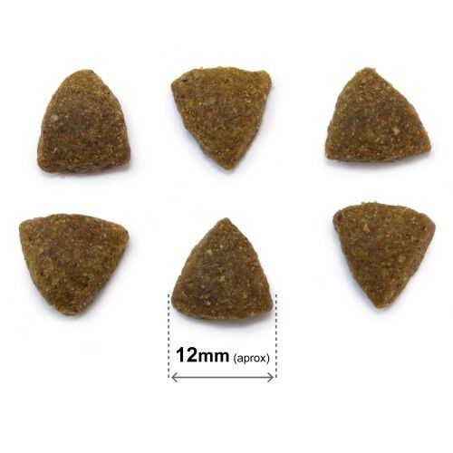 Arquivet original pienso pollo y arroz para perros adultos, , large Imagen numero 3