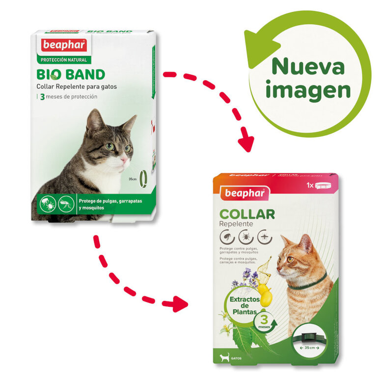 Beaphar Bio Band Collar Repelente para gatos, , large image number null
