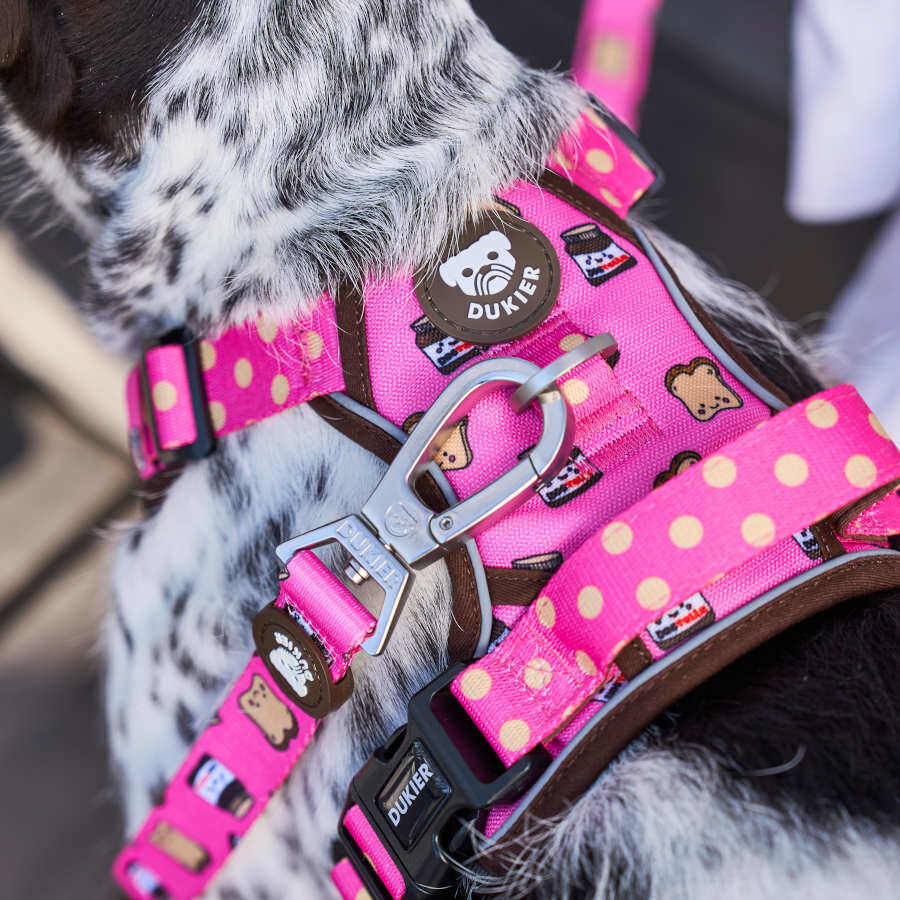 Dukier Dogtella Arnés trail para perros thumbnail