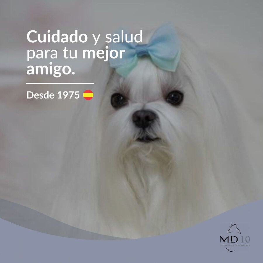 MD-10 Champ&uacute; Hidratante y Dermoprotector para Bich&oacute;n Malt&eacute;s, , large Imagen numero 5