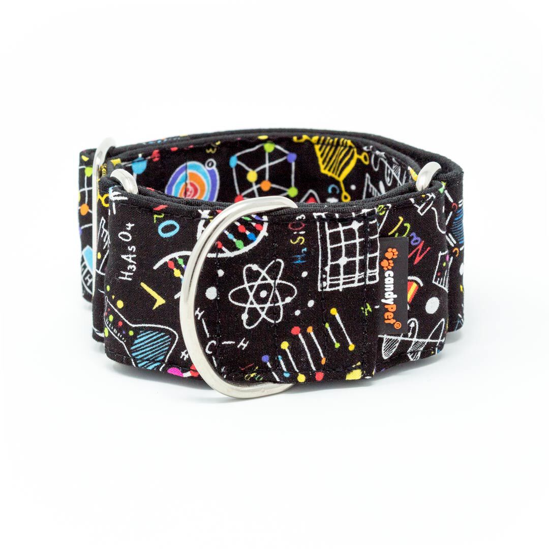 candyPet&reg; Collar Martingale para Perros - Modelo Multicolor, S, , large Imagen numero 1