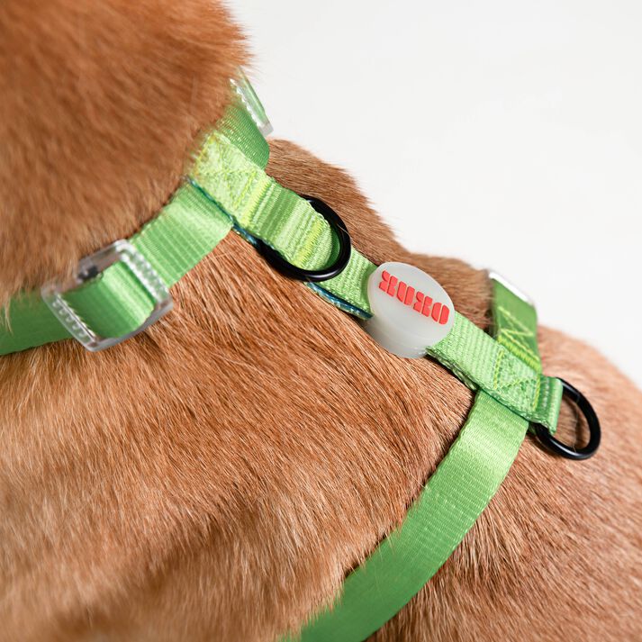 Arn&eacute;s NEON PARTY TROPICAL, , large Imagen numero 4