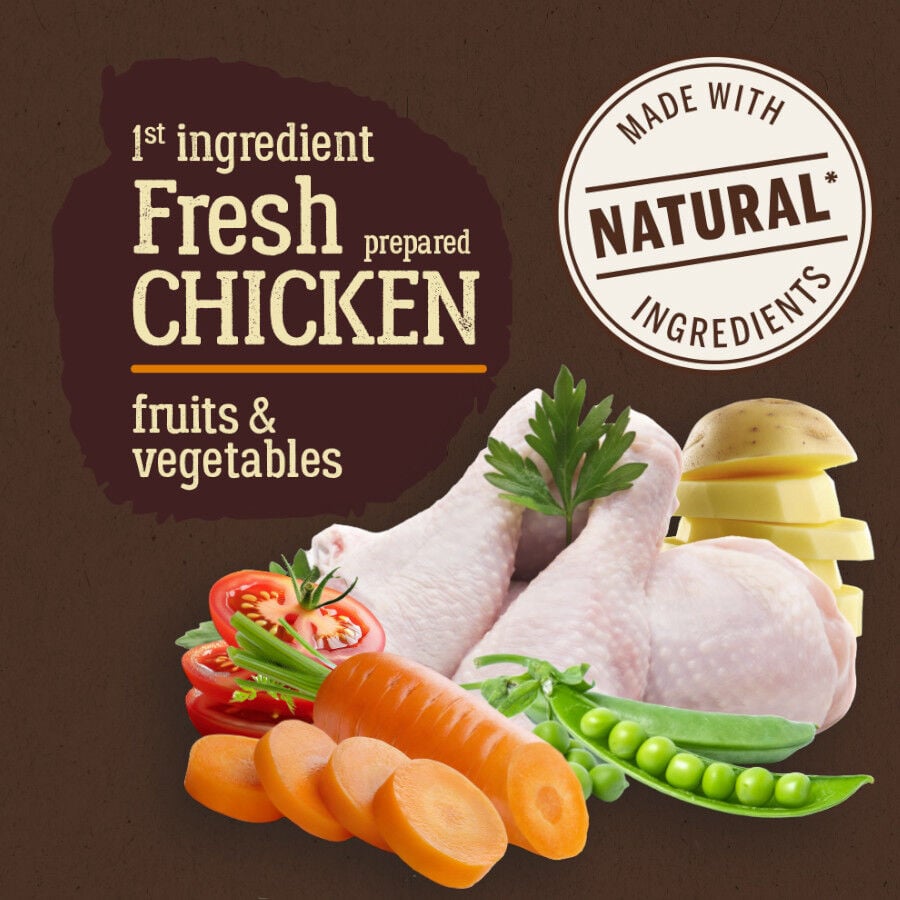 True Origins Pure Grain Free Adult Maxi Pollo pienso para perros thumbnail