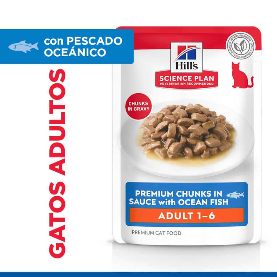 85 g Hill's Science Plan Adult Pescado sobre para gatos, , large Imagen numero 3