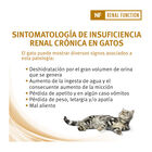 Purina Pro Plan Veterinary Diets Renal Function salmón sobre para gatos  x 85 g, , large image number null
