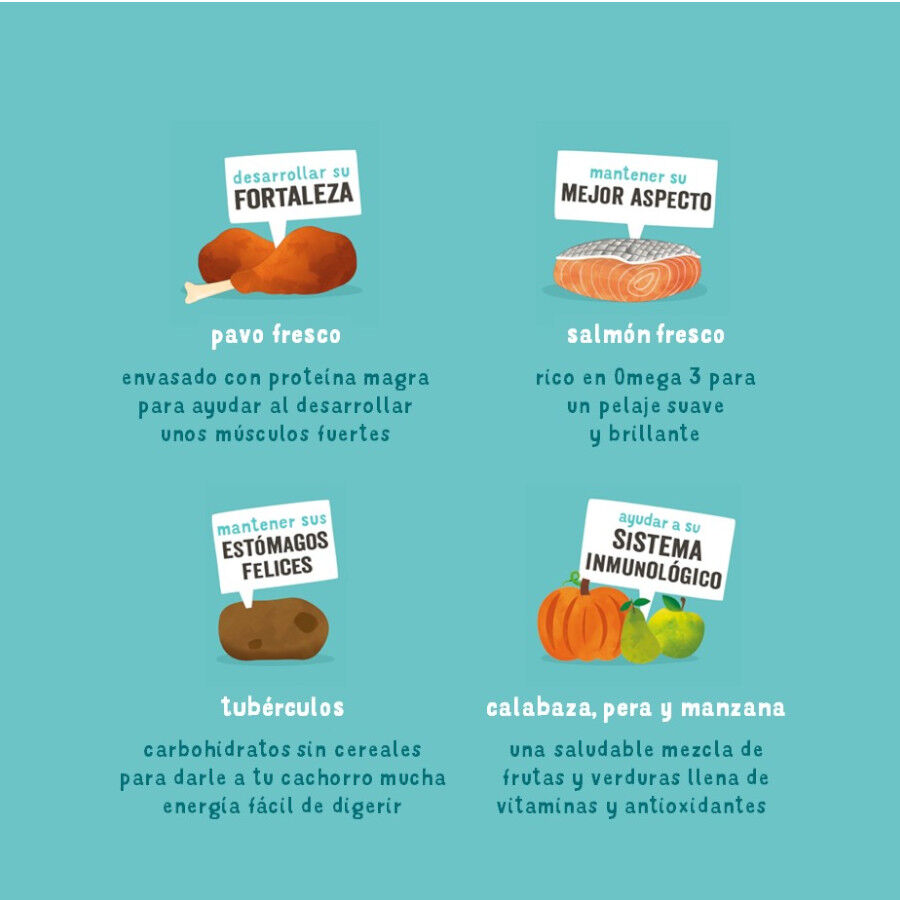 12 kg Edgard & Cooper Puppy Salm&oacute;n y Pavo pienso parra perros, , large Imagen numero 3