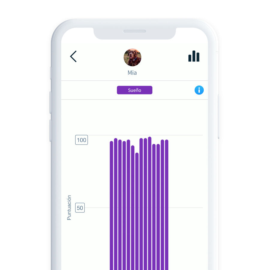 Sure Petcare Animo monitor de Conducta para perros, , large Imagen numero 10