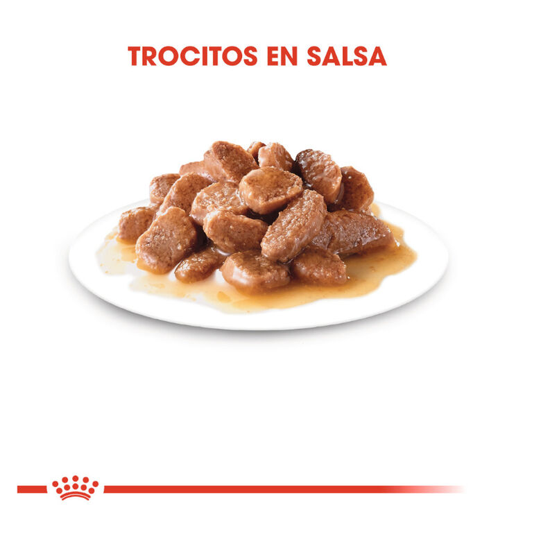 Royal Canin Ageing 12+ sobre en salsa para gatos thumbnail