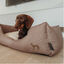 Hunter Boston Cozy Cama Marrón para perros, , large indicador imagen numero 4