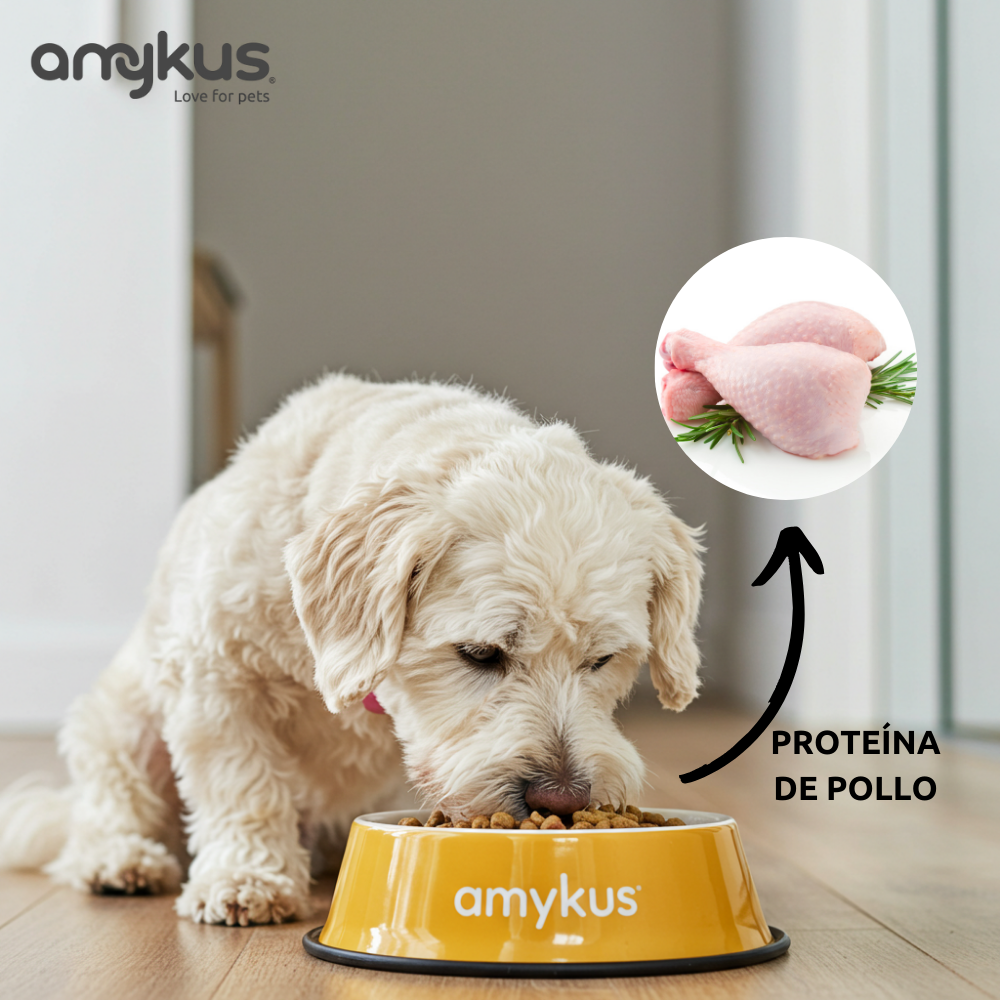 Amykus Original Mini Adult pienso adulto para perros Mini, , large Imagen numero 4