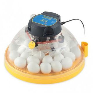 Brinsea maxi II eco incubadora analógica con volteo manual para pollitos