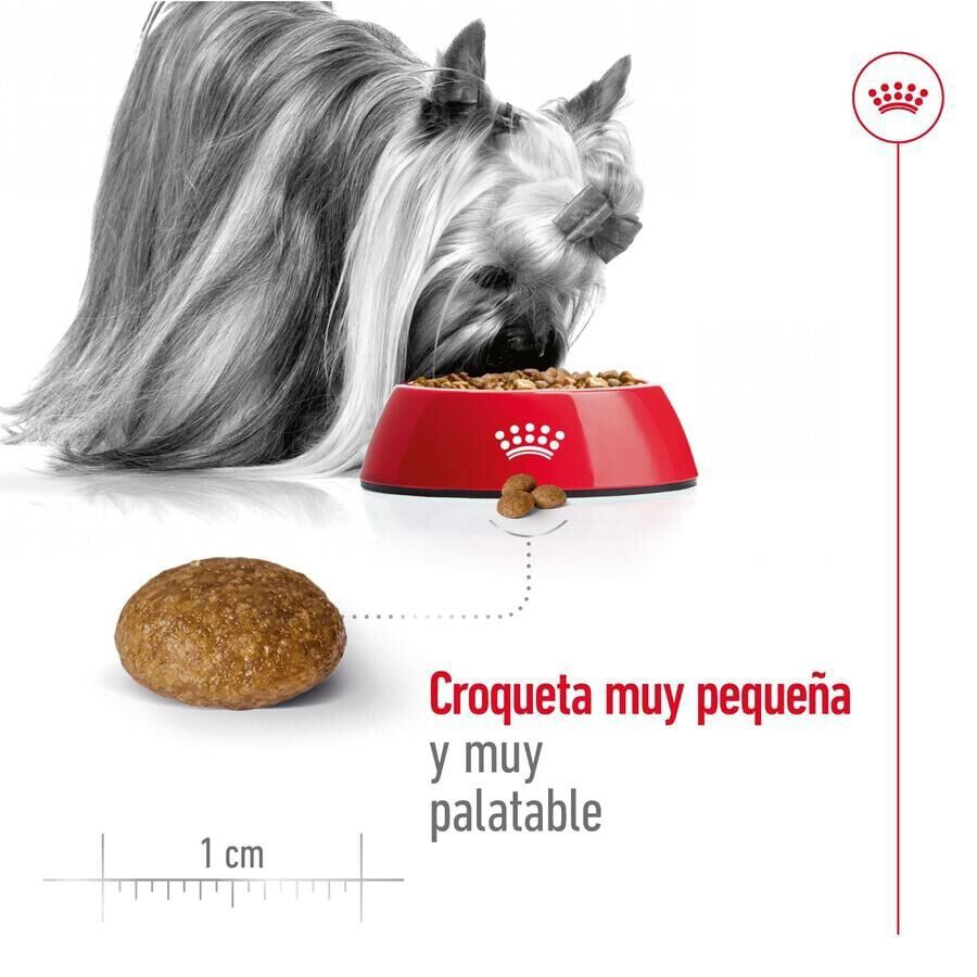 Royal Canin X-Small 8+ Mature pienso para perros thumbnail