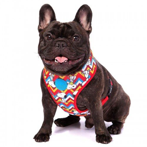 Zooz arn&eacute;s snoopy rojo para perros, , large Imagen numero 1