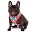 Zooz arn&eacute;s snoopy rojo para perros, , large indicador imagen numero 1