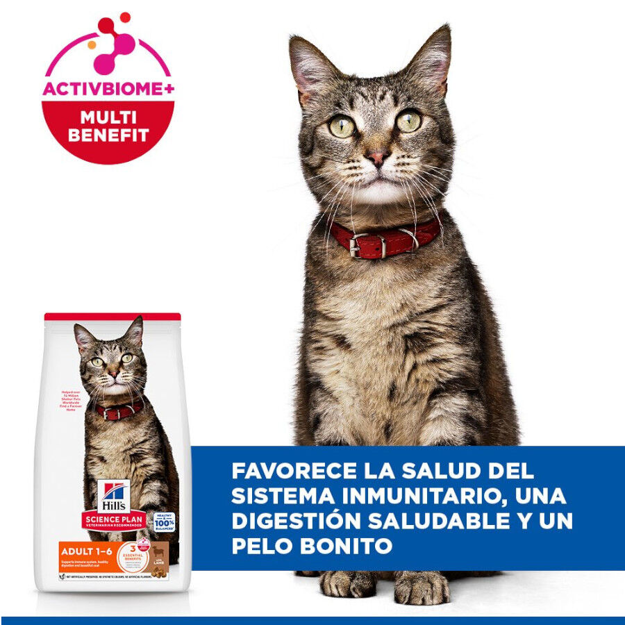10 kg Hill's Science Plan Adult Cordero pienso para gatos, , large Imagen numero 4