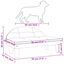 Cama Para Perro, , large indicador imagen numero 6